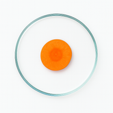 Wortel tegen haaruitval?