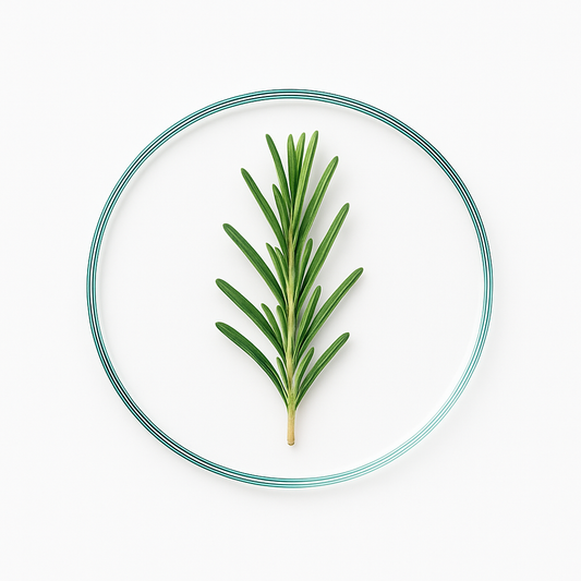Rosemary Oil vs Minoxidil: A Natural Fight Against Hair Loss